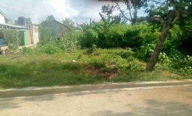 Dijual BU Tanah labuan bajo