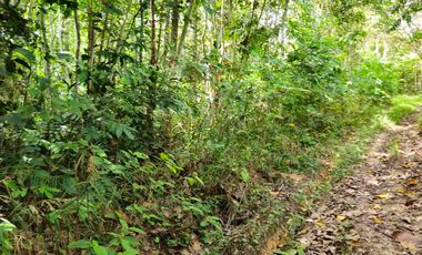 DIJUAL TANAH LUAS LAMARU