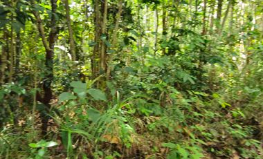 DIJUAL TANAH LUAS LAMARU