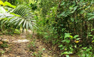 DIJUAL TANAH LUAS LAMARU