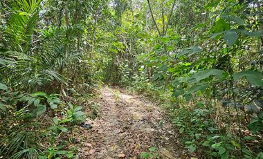 DIJUAL TANAH LUAS LAMARU