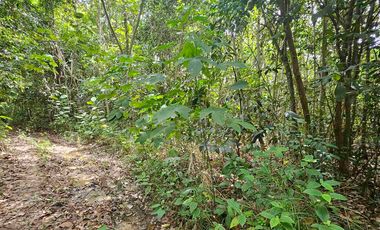 DIJUAL TANAH LUAS LAMARU