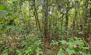 DIJUAL TANAH LUAS LAMARU