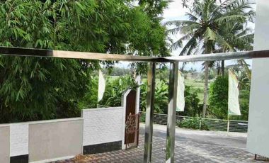 Rumah Baru 2 Lantai Murah Siap Huni View Sawah yg Asri