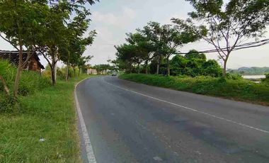 DiJual murah, Tanah Tambak, di Jalan Jawar pakal Surabaya barat 

Lokasi Strategis 
Sangat cocok untuk industri 

Spesifikasi : 
Luas tanah 4,3 Ha / 43.000 m
Lebar depan 70 mtr an
Hadap barat

SHM

Kriteria peruntukan tanah 
-Cocok buat Investasi
-Cocok buat Pergudangan / Pabrik

Strategis :
- Akses dekat tol romokalisari
- Nol jalan raya 
- Dekat gelora bung tomo (Surabaya)
- Sudah ada pergudangan Bumi Benowo

HARGA 68,8M 
(1,6jt/M² an per meter)

Untuk Survey dan info 
Hubungi Sonny 
0822-6423-----
0878-7778-----