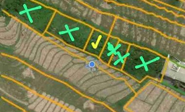 tanah bagus murah dekat pantai cemagi