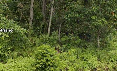 jual tanah Karang joang Balikpapan , pinggir jalan raya .