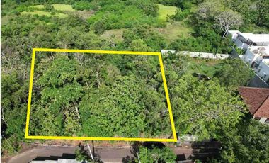 Dijual Tanah – Batu Manik, Uluwatu