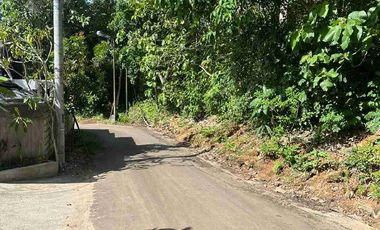 Dijual Tanah – Batu Manik, Uluwatu