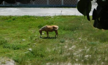 Casa en Obra Gris 25% enganche y 24 mensualidades. Dentro de Fracc. Residencial estilo campestre a 20 min. Al Sur de Cuernavaca, Xochitepec Mor.