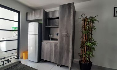 Rento Departamento Amueblado en Planta Baja