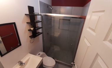 Rento Departamento Amueblado en Planta Baja