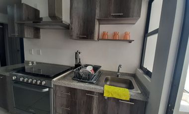 Rento Departamento Amueblado en Planta Baja