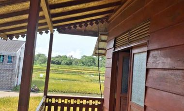 Semi Villa Asri Nuansa Kayu luas