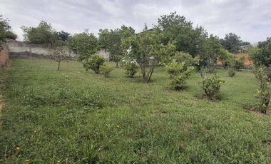 Terreno en Venta Tumbaco Altos de La Viña 1050 m2 Urbanización Privada Casa de Campo