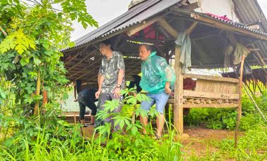 JUAL CEPAT MURAH LAHAN KEBUN DURIAN MUSANG KING SUDAH SHM DI LEBAK BANTEN