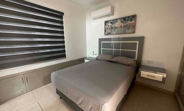 renta Fracc Palmillas localizado en av sábalo Cerritos