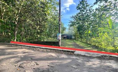 Jual Tanah bonus Gudang di Karangtengah Wonosari Gunung Kidul Pinggir Jalan Raya Murah