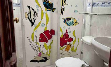 EXCELENTE PROPIEDAD PARA INVERTIR  (2 DEPARTAMENTOS Y LOCAL)