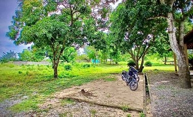 LOTE EN VENTA SECTOR  LA PETRONITAS GALAPA ATALANTICO