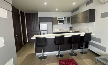 RENTO DEPARTAMENTO AMUEBLADO CON VISTA AL MAR Y FRENTE  A LA ALBERCA