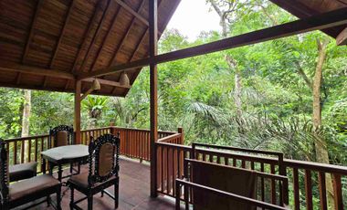 diswakan villa exotik susana alam bali harian mingguan sampai tahunan di tabanan