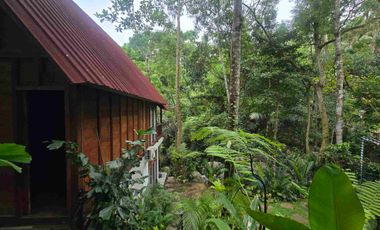 diswakan villa exotik susana alam bali harian mingguan sampai tahunan di tabanan