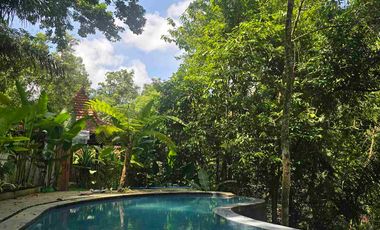 diswakan villa exotik susana alam bali harian mingguan sampai tahunan di tabanan