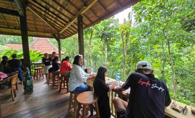 diswakan villa exotik susana alam bali harian mingguan sampai tahunan di tabanan