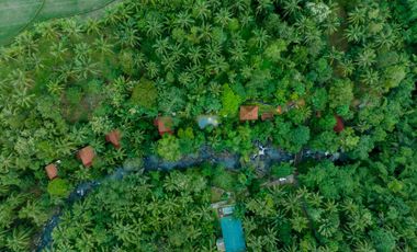 diswakan villa exotik susana alam bali harian mingguan sampai tahunan di tabanan