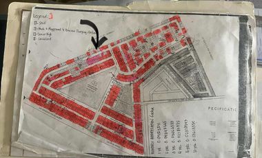 Affordable 100sqm Lot for Sale in SouthBay Subdivision, Bago City – Installment Up to 10 Years