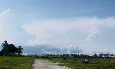 Affordable 100sqm Lot for Sale in SouthBay Subdivision, Bago City – Installment Up to 10 Years