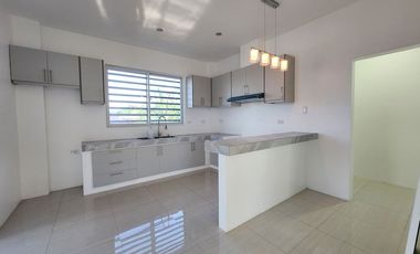 House and Lot For Sale in Ayala Alabang Village, Muntinlupa City