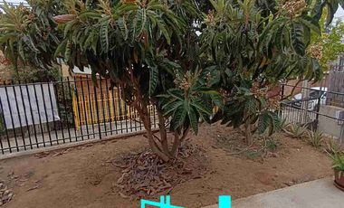 Casa sólida villa alemána al contádo