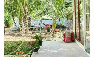 farm house and lot in Samal Island for sale