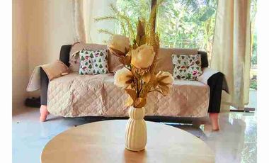 farm house and lot in Samal Island for sale