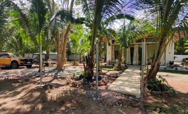 farm house and lot in Samal Island for sale
