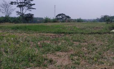 FOR SALE : VACANT LAND