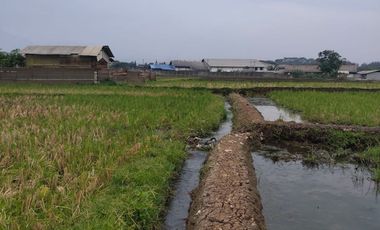 FOR SALE : VACANT LAND