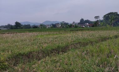 FOR SALE : VACANT LAND