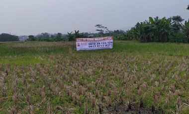 FOR SALE : VACANT LAND