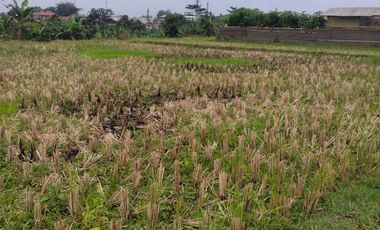 FOR SALE : VACANT LAND