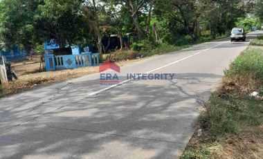 Jual Sewa Rumah Tanah Luas Pinggir Jalan Raya Telagasari Karawang