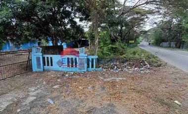 Jual Sewa Rumah Tanah Luas Pinggir Jalan Raya Telagasari Karawang