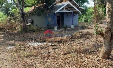 Jual Sewa Rumah Tanah Luas Pinggir Jalan Raya Telagasari Karawang