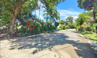 South Greenheights Village 240 sqm residential lot P3.7M only for sale