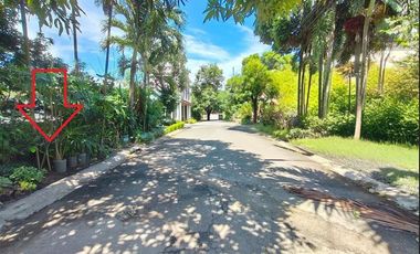 South Greenheights Village 240 sqm residential lot P3.7M only for sale