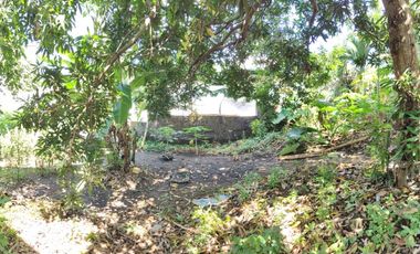 South Greenheights Village 240 sqm residential lot P3.7M only for sale