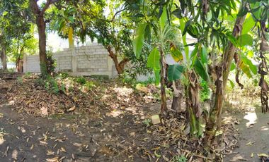 South Greenheights Village 240 sqm residential lot P3.7M only for sale