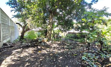 South Greenheights Village 240 sqm residential lot P3.7M only for sale